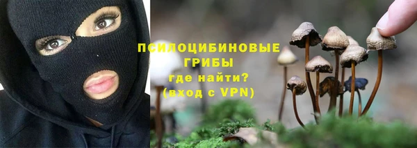 бошки Белокуриха