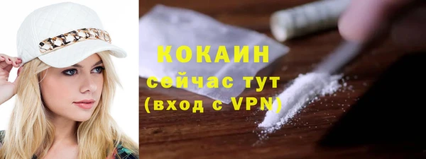 бошки Белокуриха
