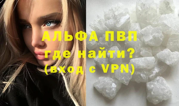 бошки Белокуриха