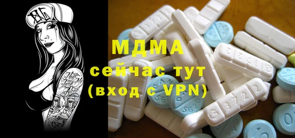 ПСИЛОЦИБИНОВЫЕ ГРИБЫ Строитель